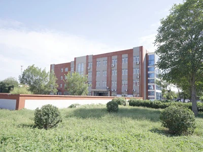 Amiinikatalyyttien ymmärtäminen polyuretaanivaahtotuotannossa